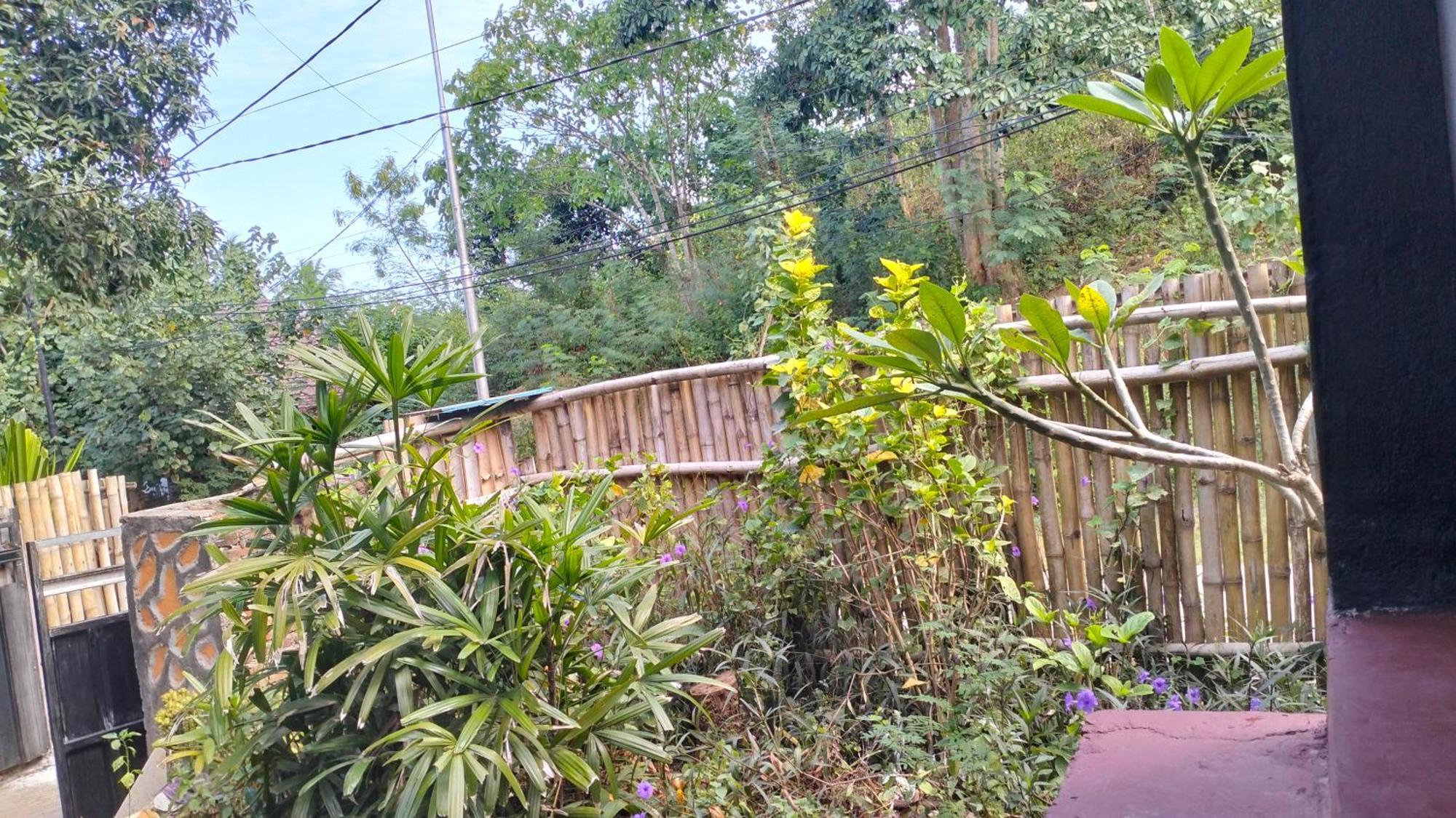 Palm Homestay Kuta Kuta  Exterior photo